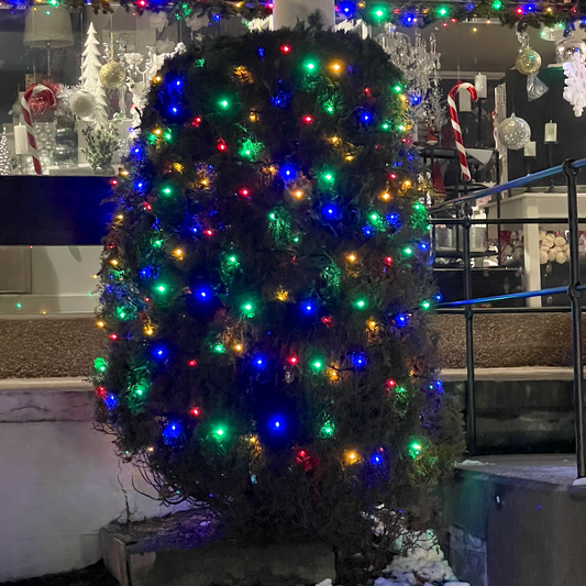 Flerfarget lysslynge - 10 meter 100 LED - rød,grønn, blå og gul