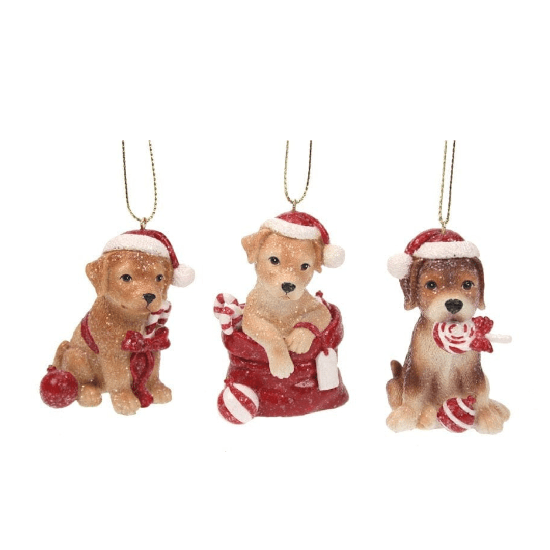 juletrepynt Hund med julegodteri, 1 stk (7,5 cm)