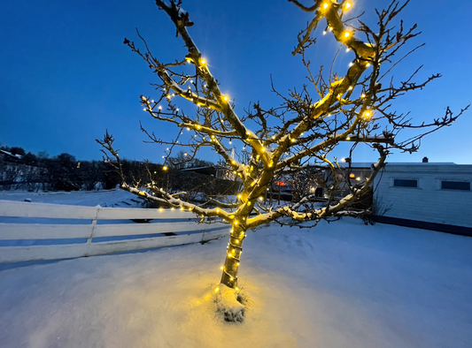 Lysslynge proffkvalitet julelys varmhvit