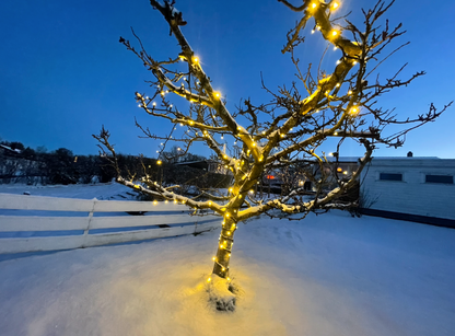 5 meter 50 LED - Lysslynge m/gummikabel - Varmhvit