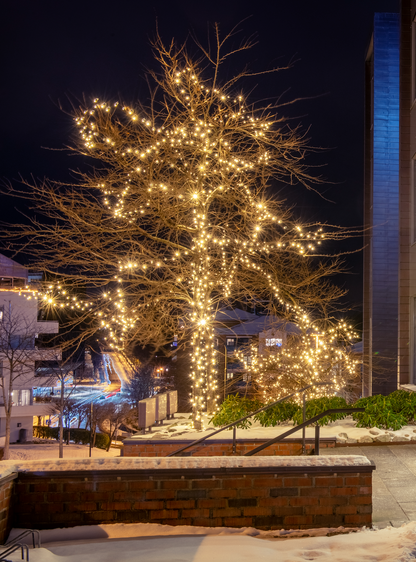 5 meter 50 LED - Lysslynge m/gummikabel - Varmhvit