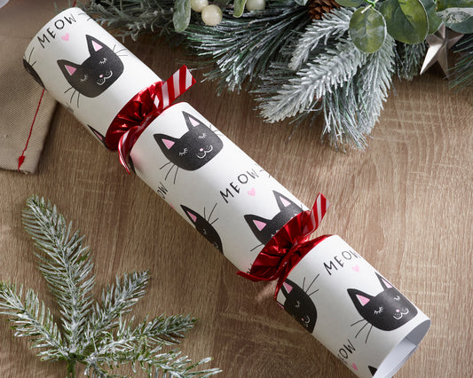 Smellbonbon med gave til katt